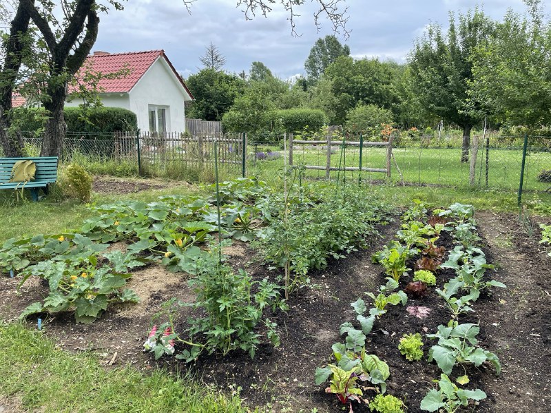 Ein Schrebergarten für studentische Projekte – Urban Gardening und Ernährungsbildung