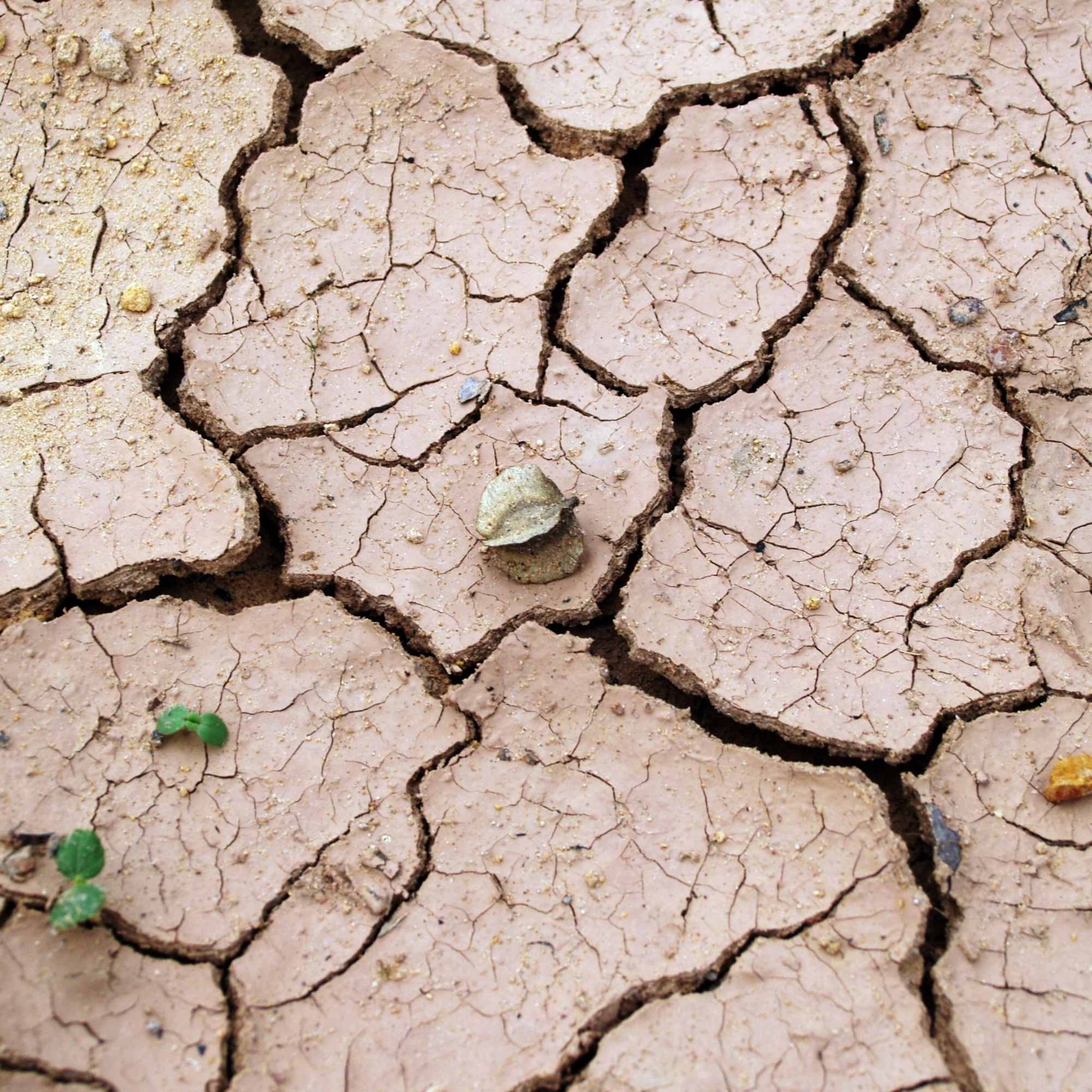 Sommer, Sonne, Sonnenschein – Wird das globale Dürrerisiko unterschätzt?