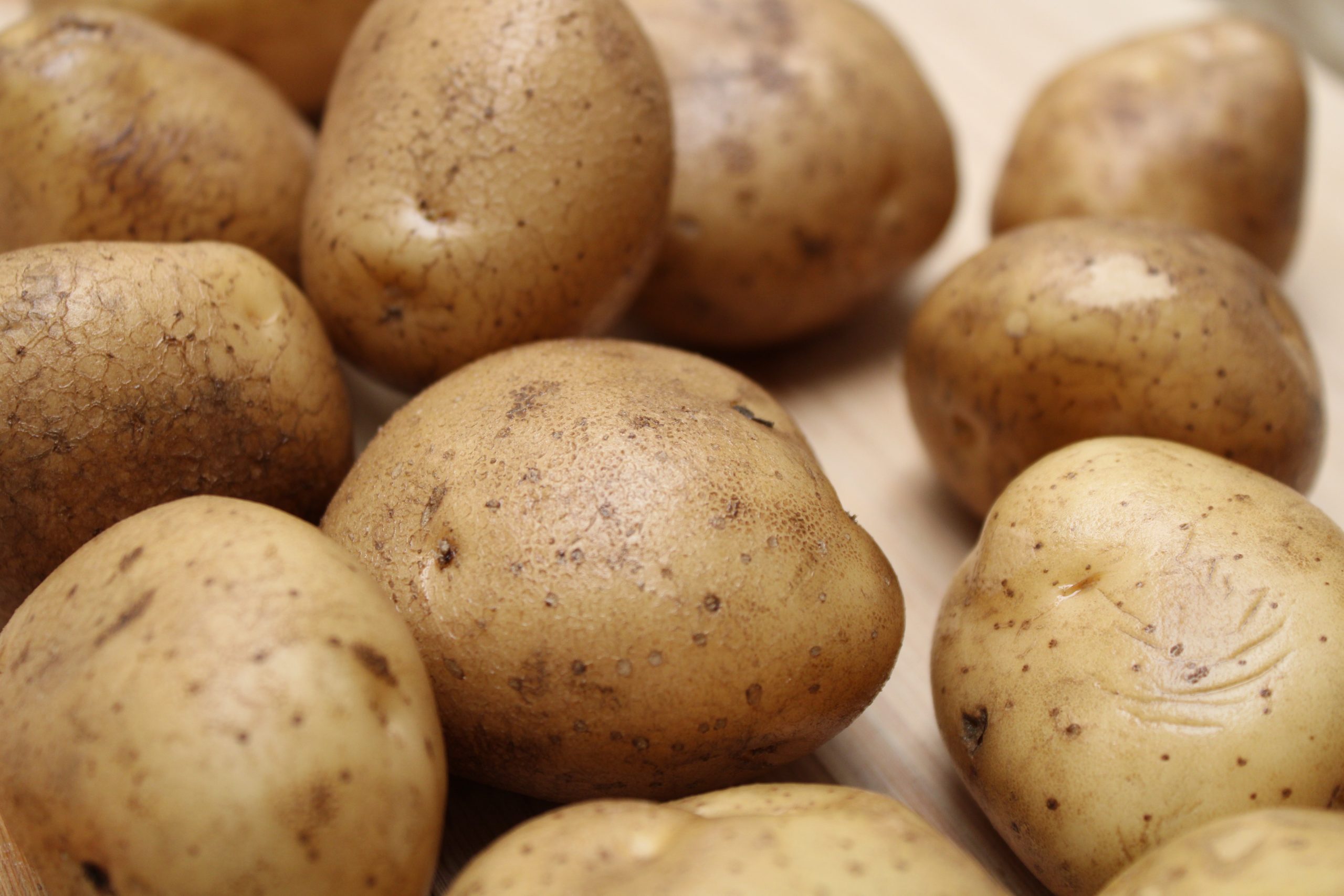 Studienmodul „Kartoffelproduktion“ – Georg-August-Universität Göttingen und UNIKA arbeiten zusammen