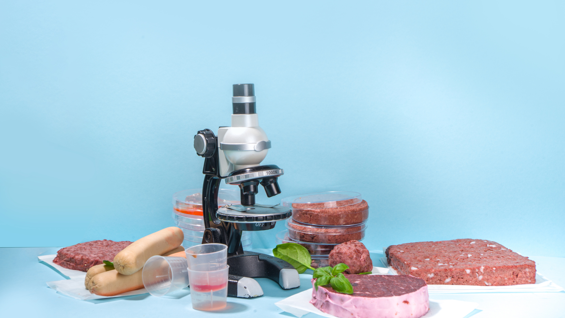 Fleisch aus dem Labor: Science-Fiction oder die Zukunft des Fleischkonsums?