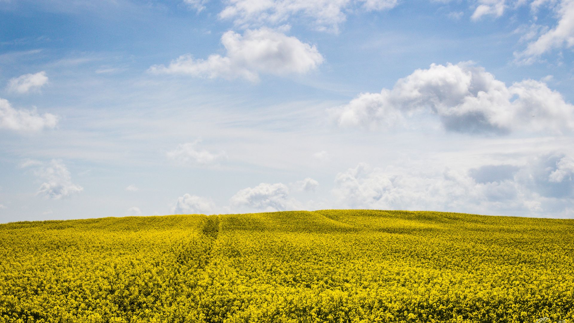 Global Land Area suffers. CO2 Removal. Pollen-mapping Project