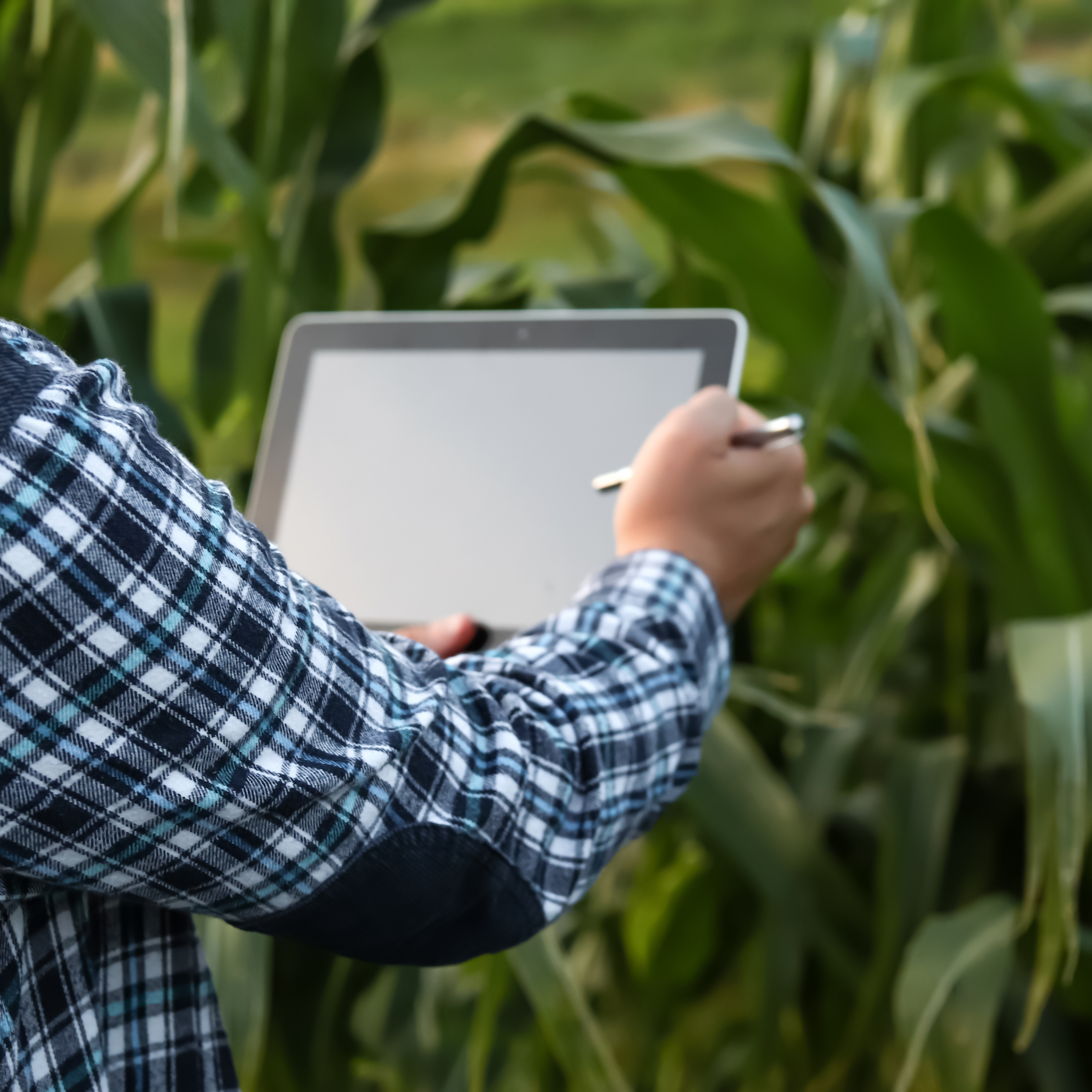 Technik auf dem Acker – Wie digital ist unsere Landwirtschaft?
