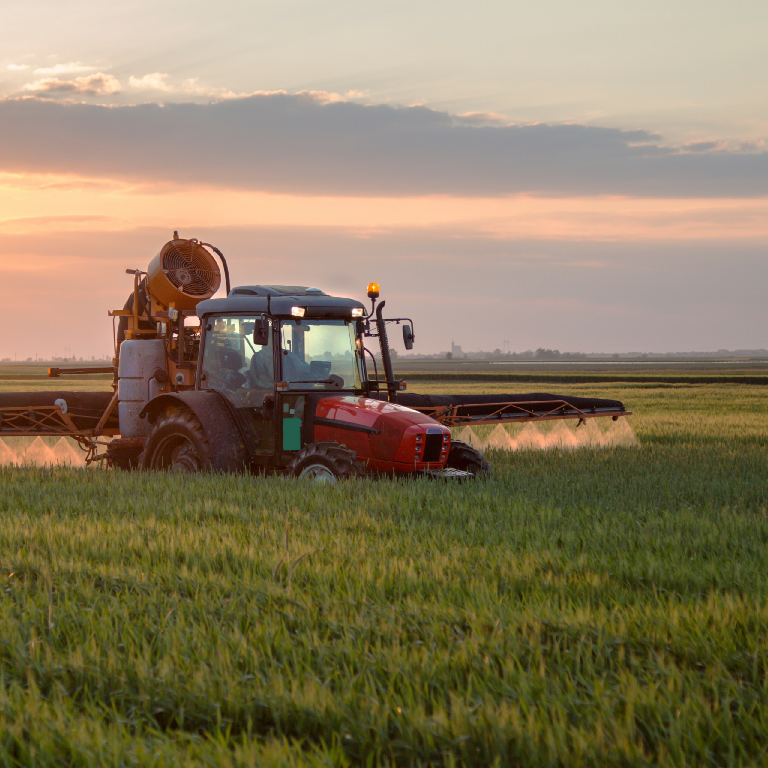 Pflanzenschutz im Wandel – Wie können Ernten nachhaltig gesichert werden?