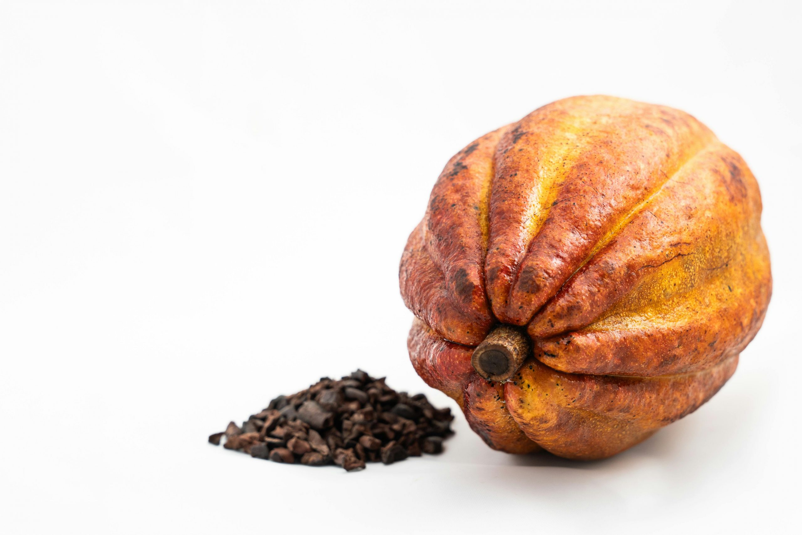 How can cocoa farmers adapt to climate change?