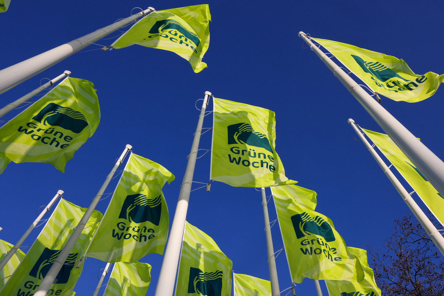 Wissenschaft goes Hauptstadt