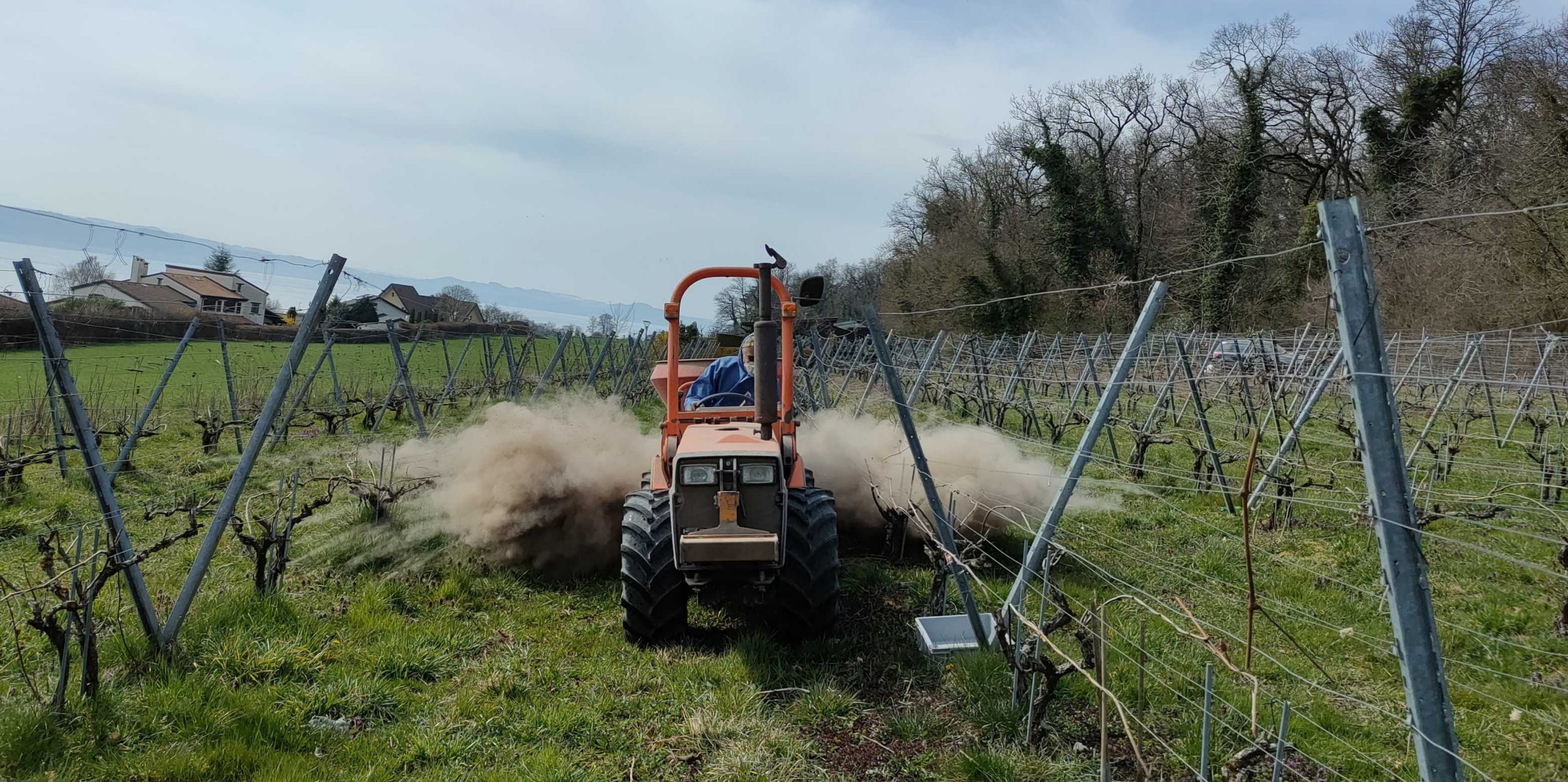 Gesteinsmehl als Klimaschutz. Statistisches Jahrbuch 25. Stickstoffaufnahme und Probiotika