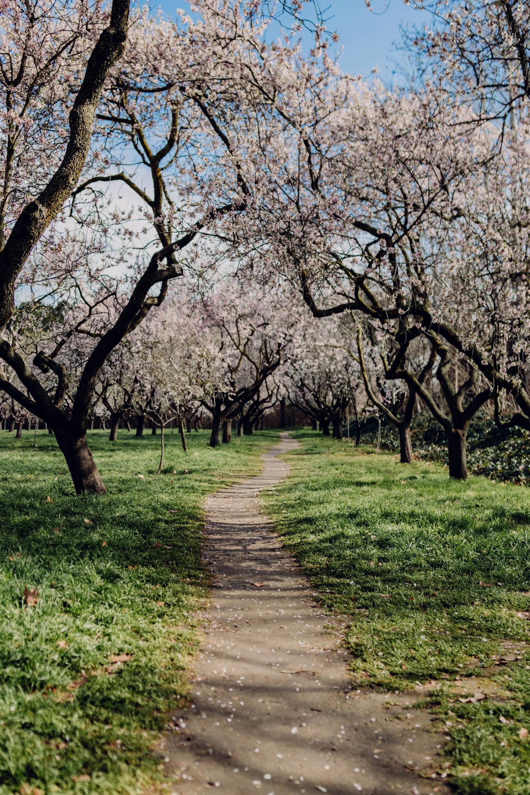 Europas Naturschutzgebiete neu denken