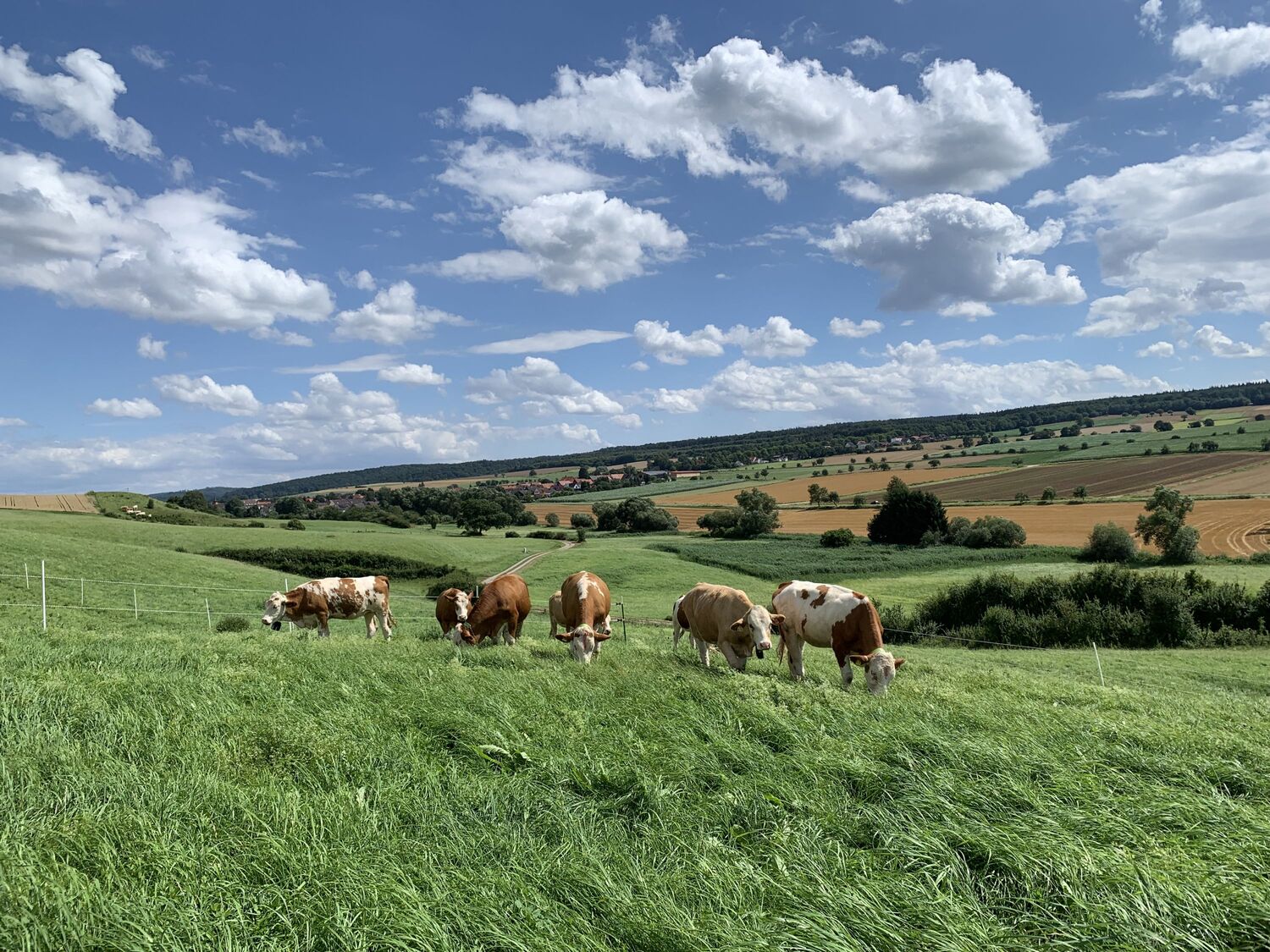 Unsichtbare Grenzen, gleiches Verhalten